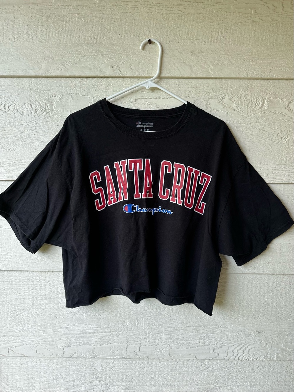 Champion Santa Cruz cropped graphic tee